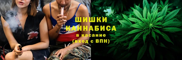 сатива Бугульма