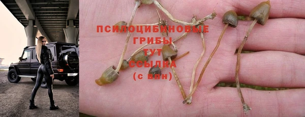 сатива Бугульма