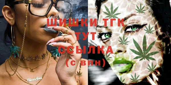 сатива Бугульма