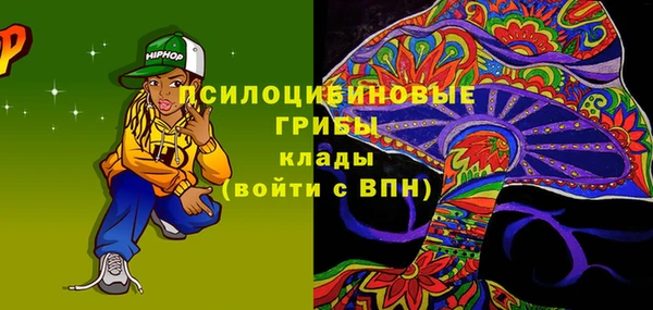 сатива Бугульма