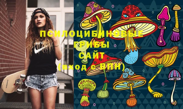 сатива Бугульма