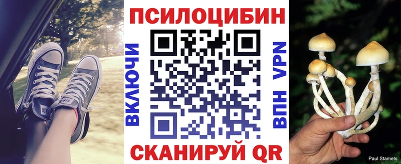 Галлюциногенные грибы мицелий  Гусиноозёрск 